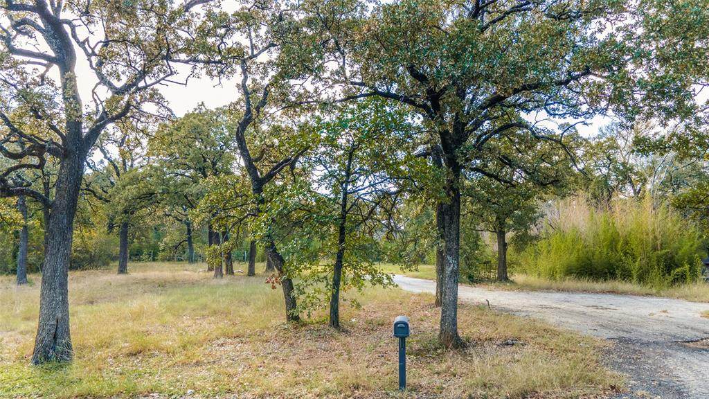 2459 Raintree Drive - Photo 1