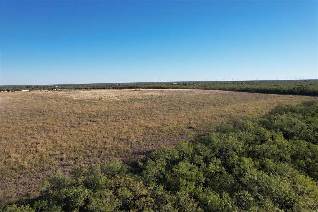 Tract 4 Cr 150 - Photo 1
