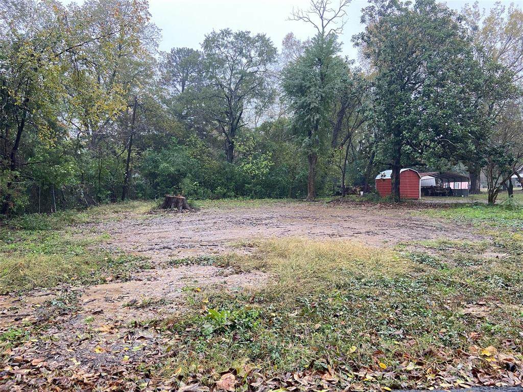 317 Atlanta Avenue - Photo 1