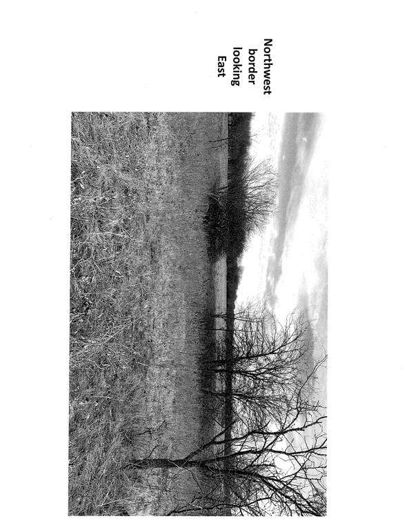 598 Hcr 4411 - Photo 1