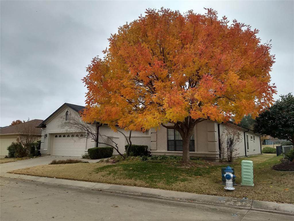 10001 Hanford Drive - Photo 1