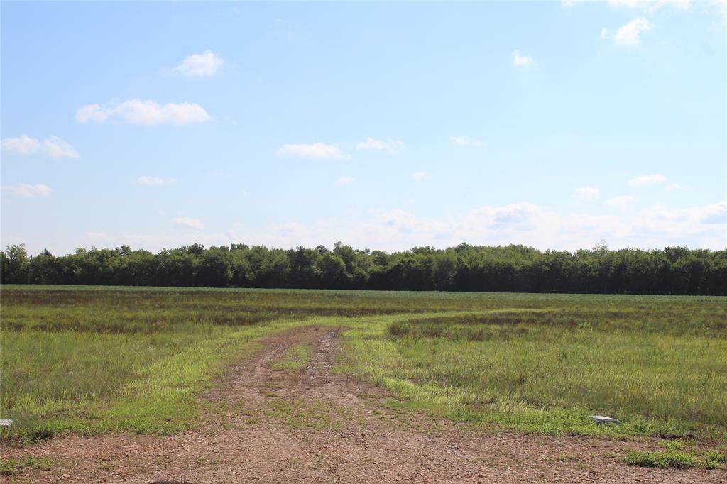 6565 Fm 512 - Photo 1