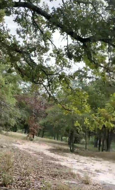 2101 Fm 2101 - Photo 1