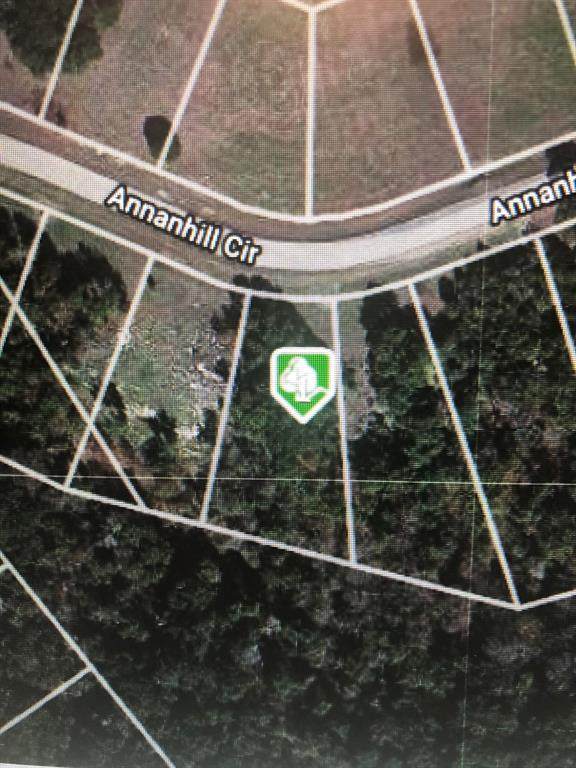6132 Annanhill Circle - Photo 1