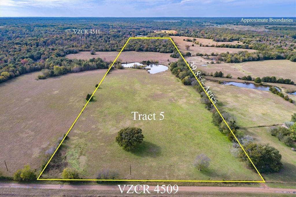 TBD Vz County Road 4509 - Photo 1
