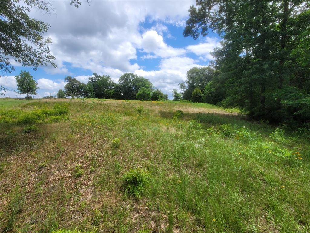 Lot 6 County Rd 1218 - Photo 1