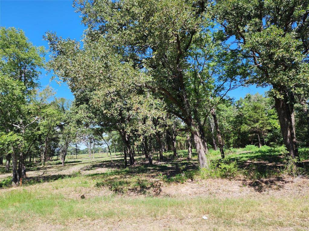TBD Lot 1 Fm 2795 - Photo 1
