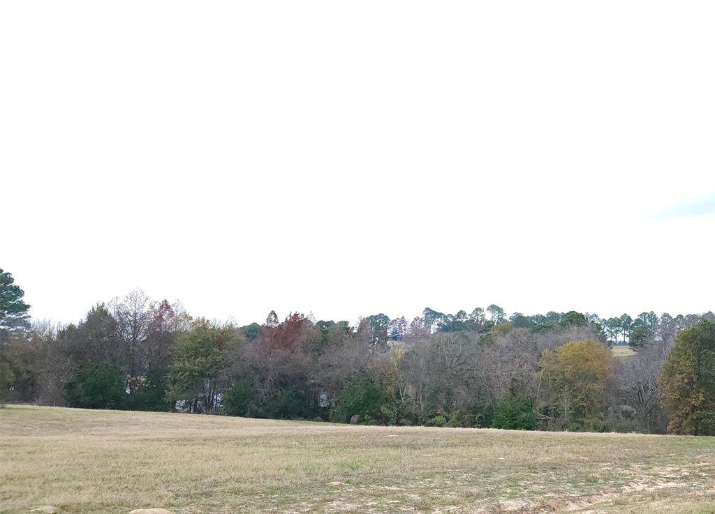 0 Lago Vista Drive - Photo 1