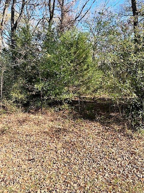 0 Quail Run Road - Photo 1