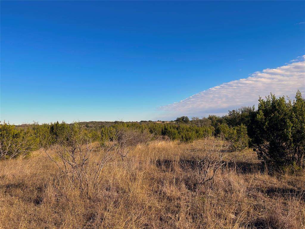 TBD Lot 10 Buffalo Ridge Drive - Photo 1