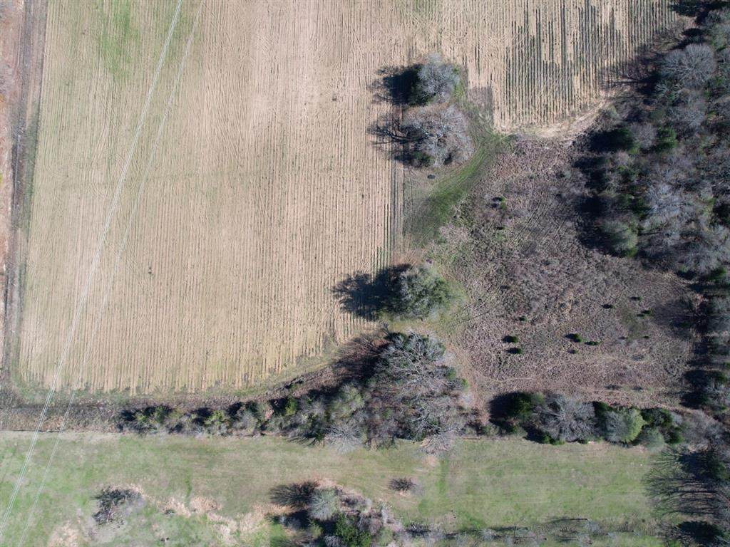 Tract 1 Vz County Road 1813 - Photo 1