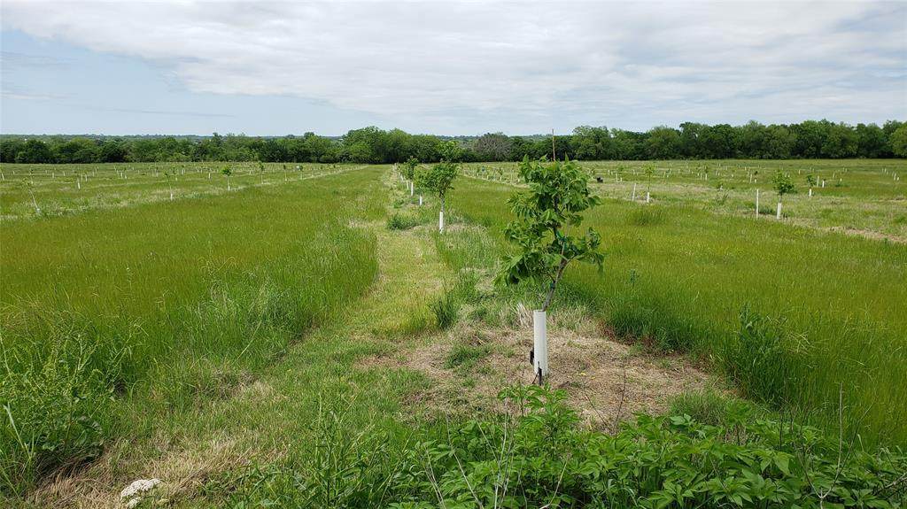 1617 County Road 151 - Photo 1
