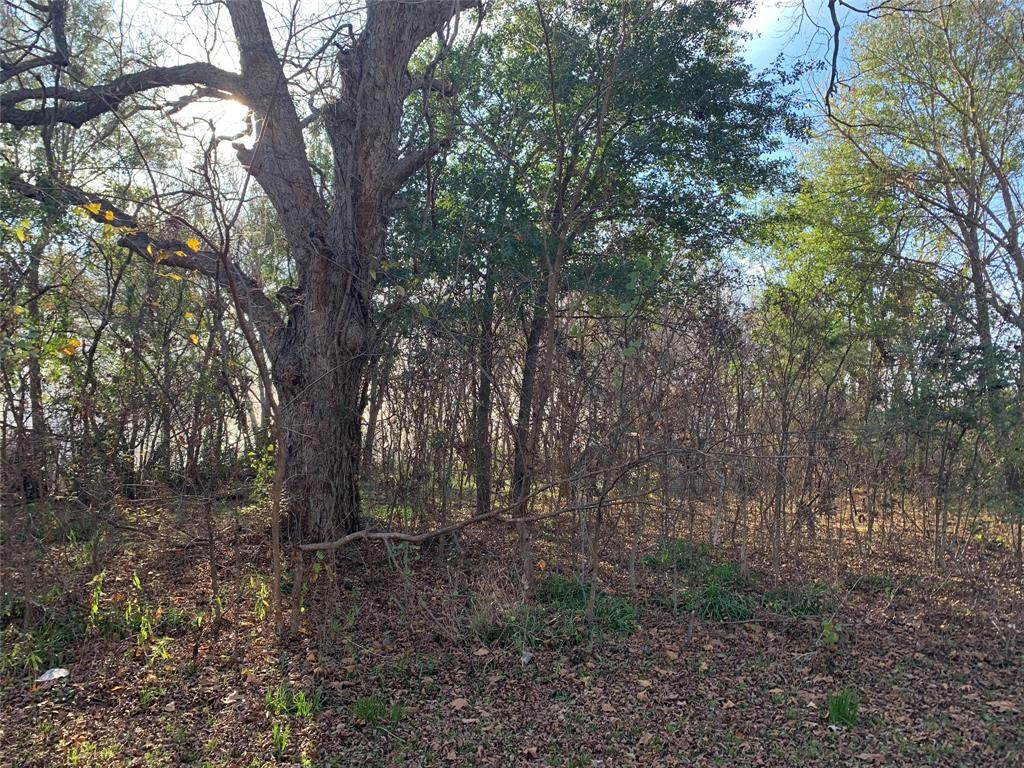 Block 3 Lot 1 Sillman - Photo 1
