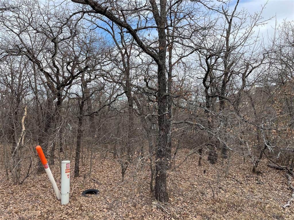 Lot 43 Jim Walter Drive - Photo 1
