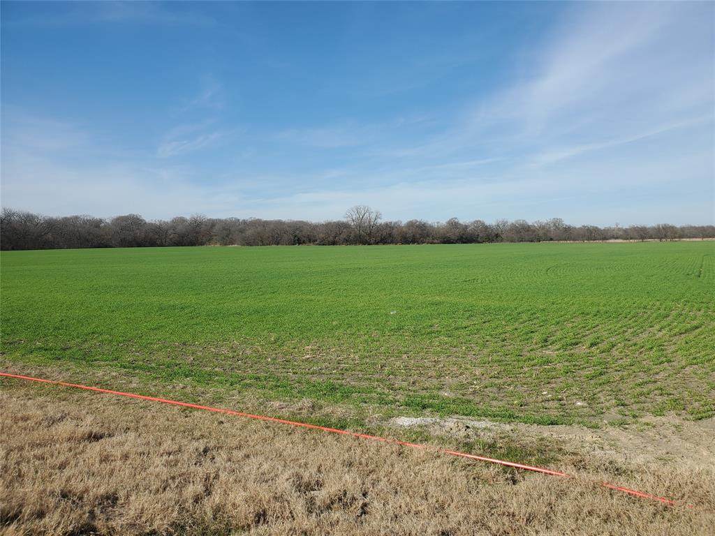 0 County Road 222 - Photo 1