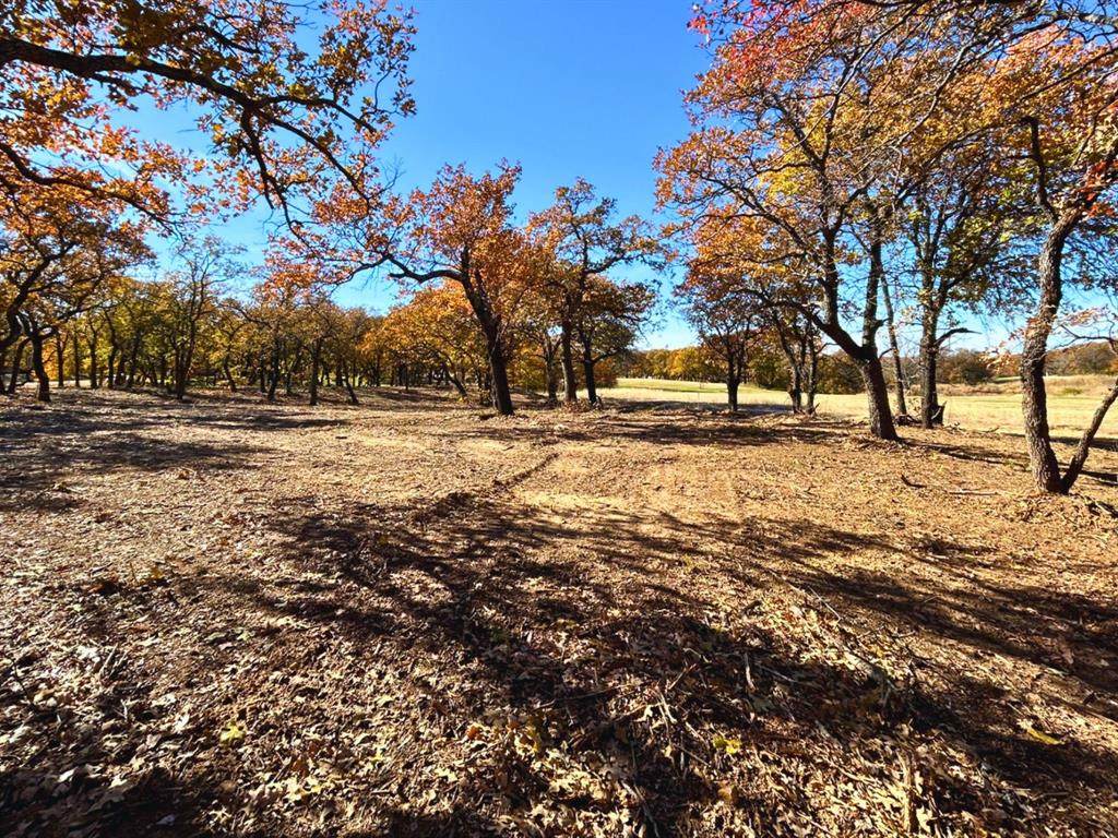 129 Diamond Oaks Drive - Photo 1