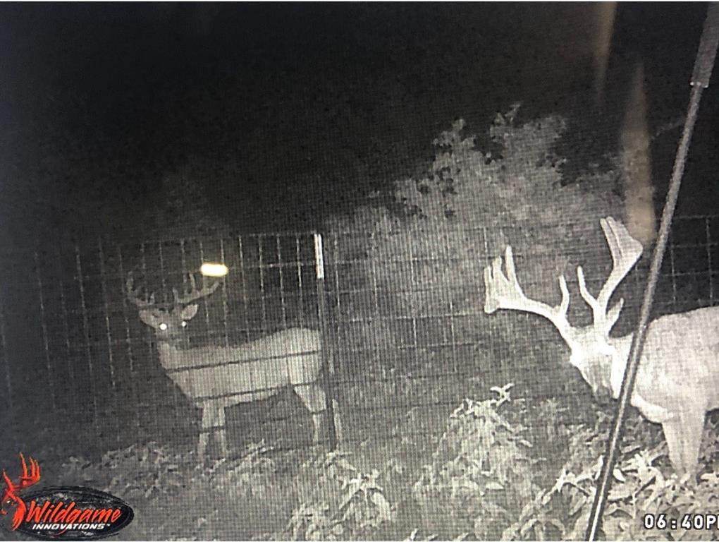 tbd County Rd 125 - Photo 1