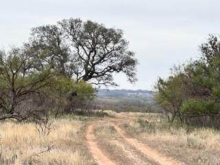TBD County Road 137 - Photo 1