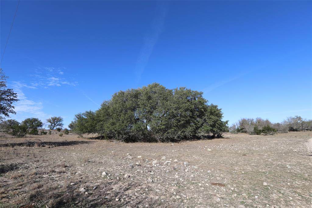 TBD Fm 580 - Photo 1