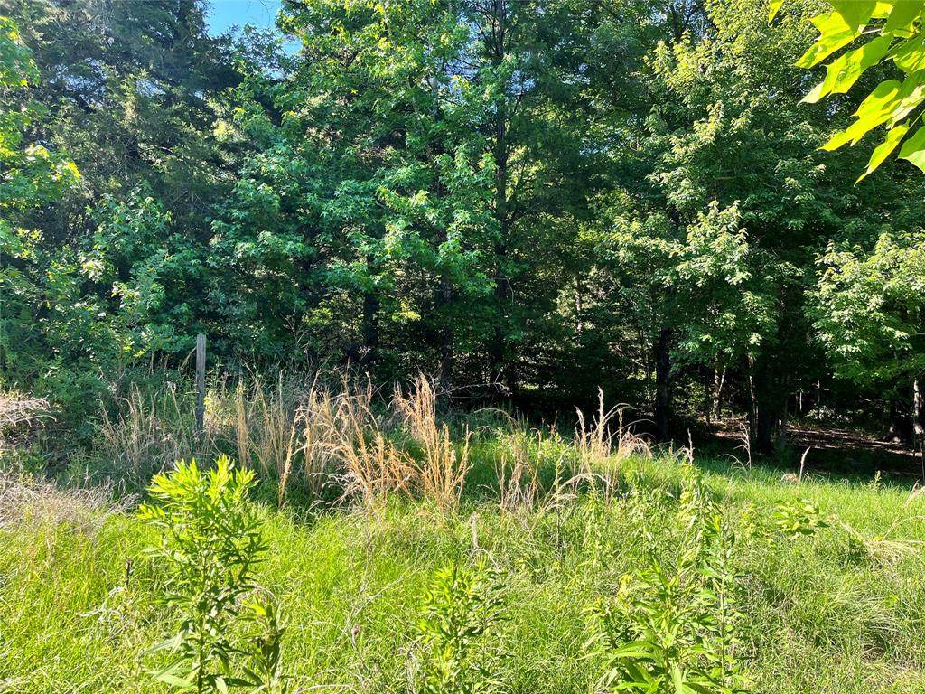 Lot 39 & 40 Hickory Hills Drive - Photo 1