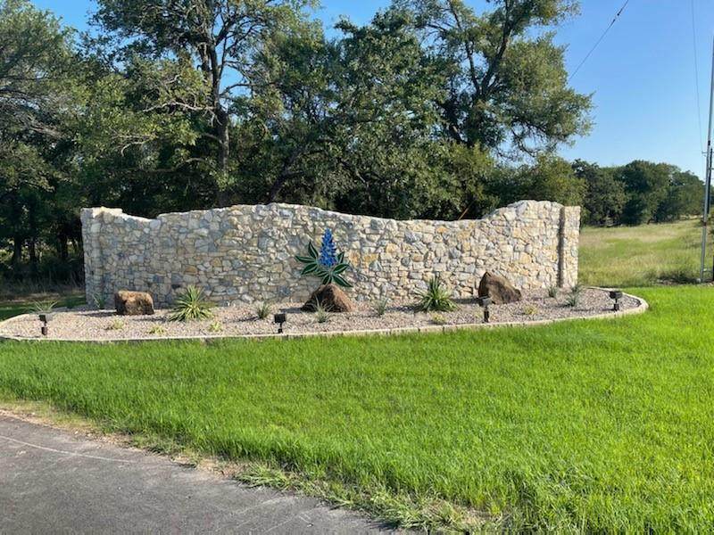 1028 Bluebonnet Ridge - Photo 1
