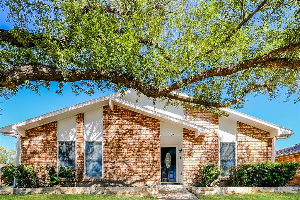 3709 Red Oak Drive - Photo 1