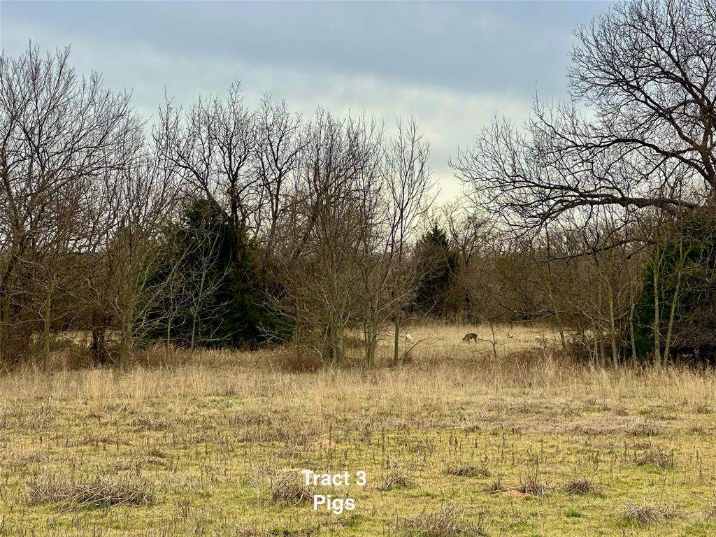 Tract 3 Fm 3264 - Photo 1