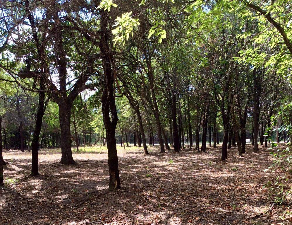 Lot 57 Blackjack Parkway - Photo 1