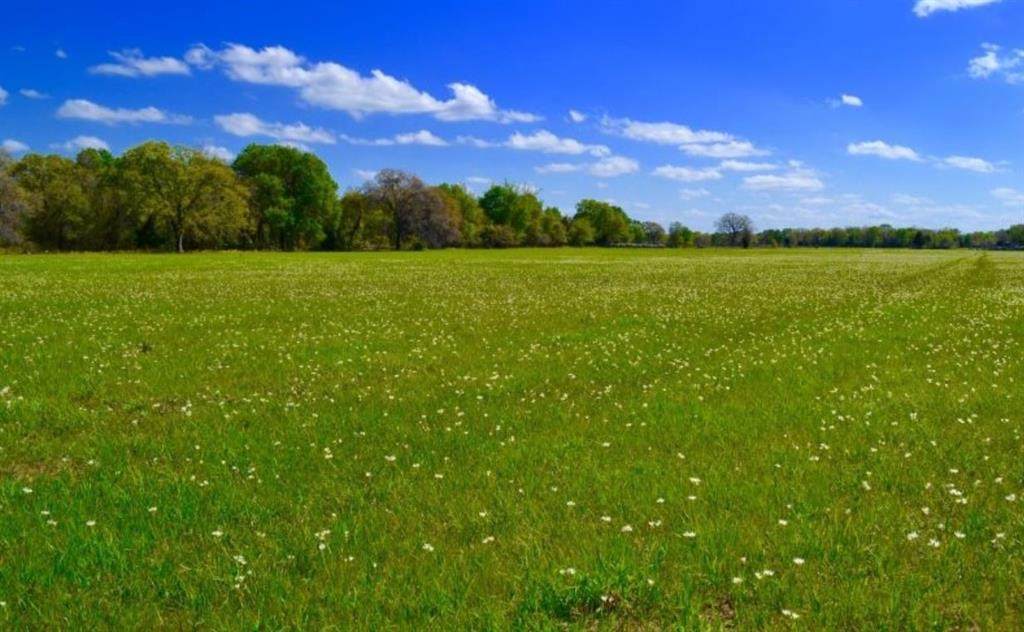 00020 Fm Road 548 - Photo 1