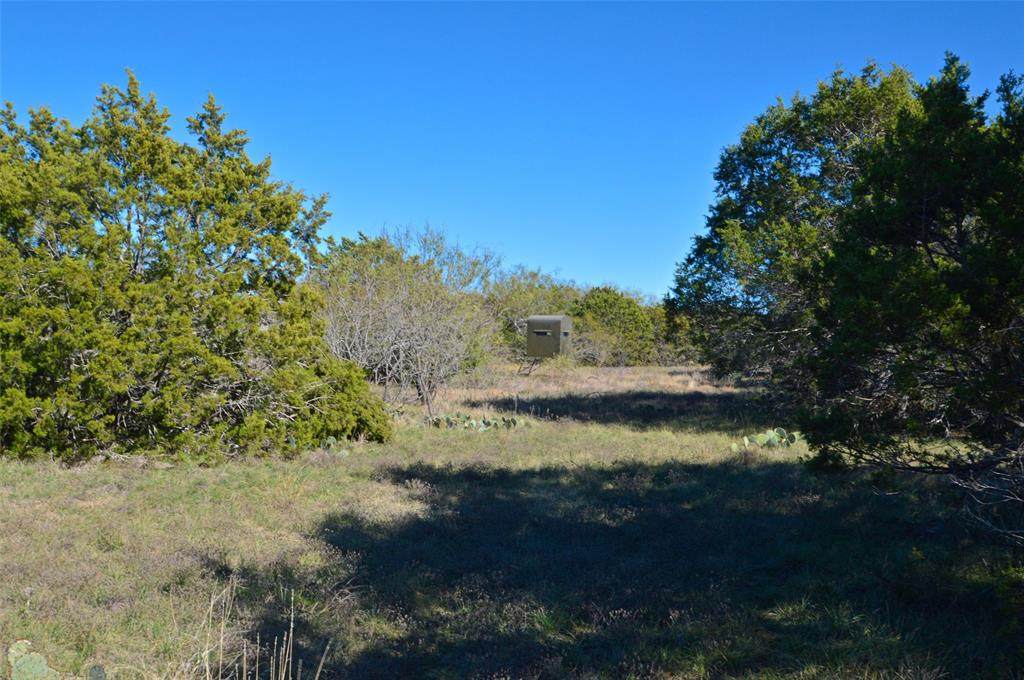 0 Us Hwy 190 - Photo 1