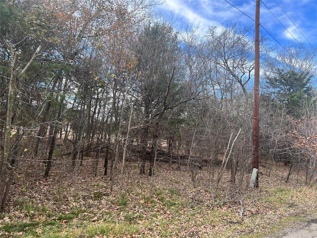 0 Lakeview Drive - Photo 1