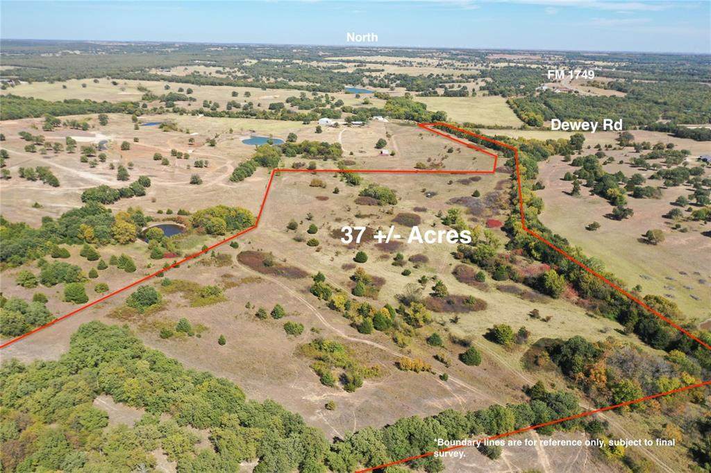 37 +/- Acres Dewey Road - Photo 1