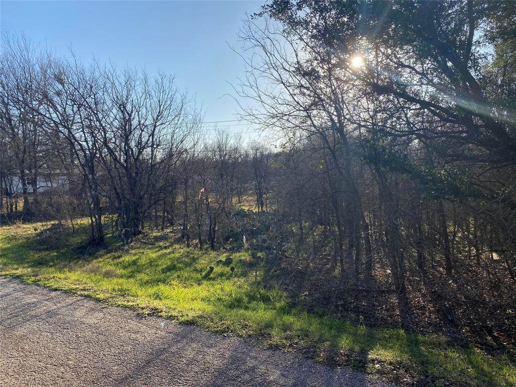 3025 Elmwood Drive - Photo 1
