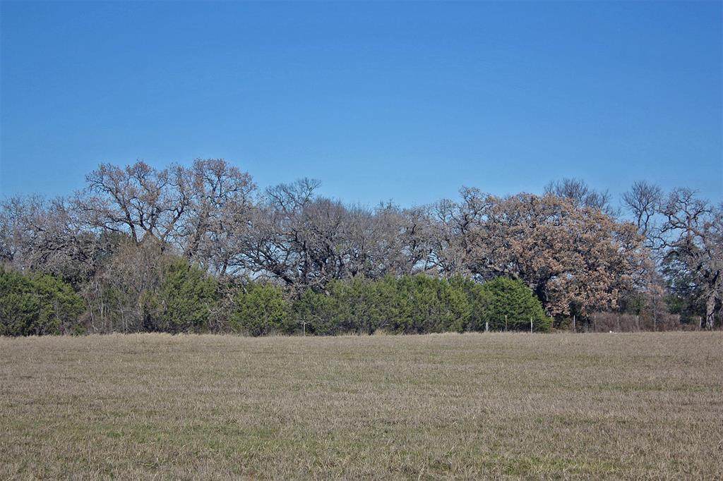 TBD County Rd 327 - Photo 1
