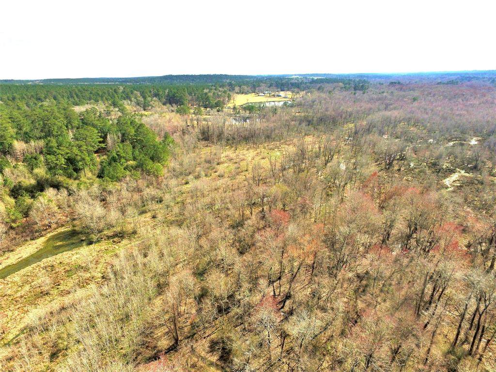 Tract 2 Jim Hubert Road - Photo 1