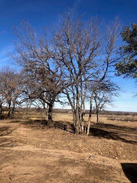 118 County Road 3825 - Photo 1