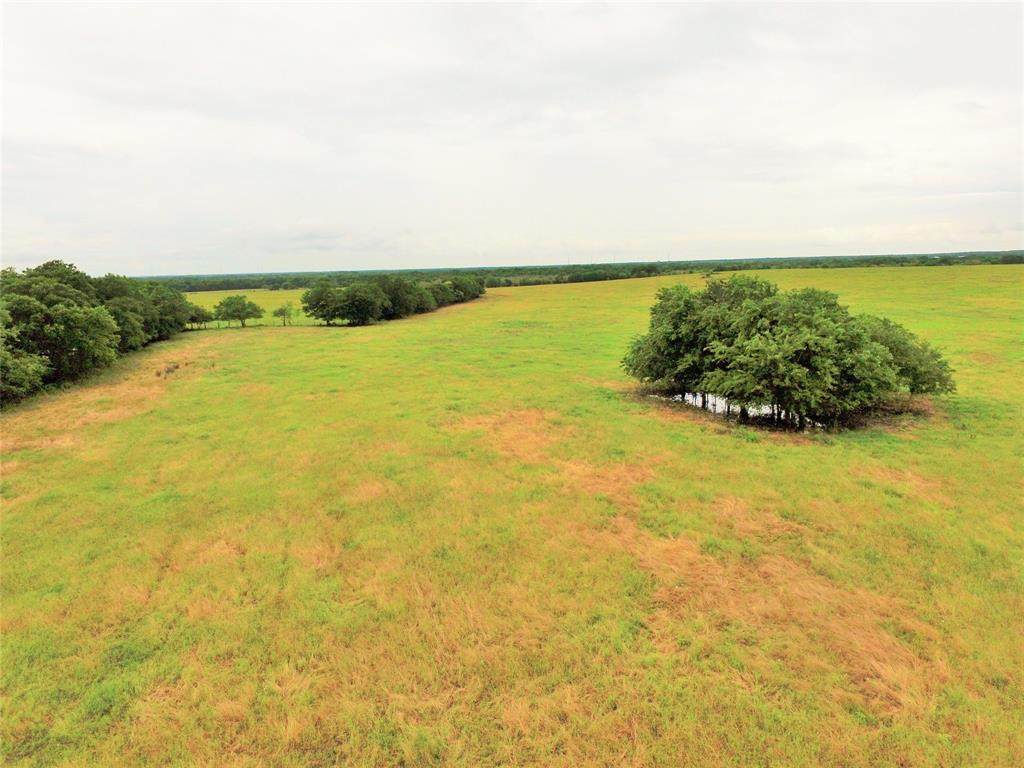 000 Fm 339 Road - Photo 1