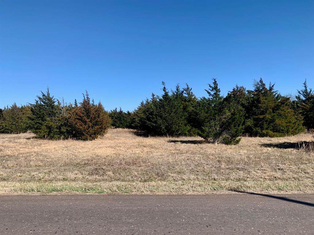 Tract 1 County Rd 4511 - Photo 1