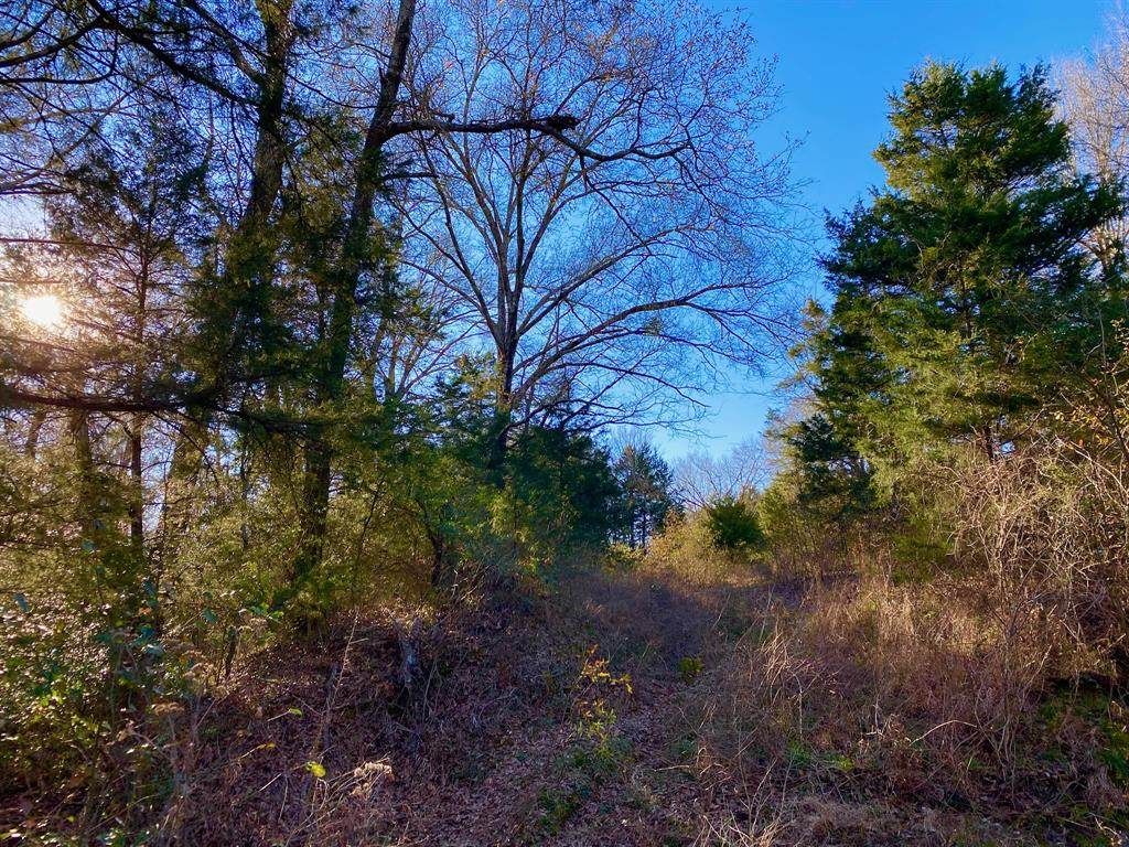 756 Hwy 75 - Photo 1