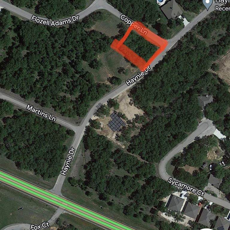 0000 Haynie Drive - Photo 1