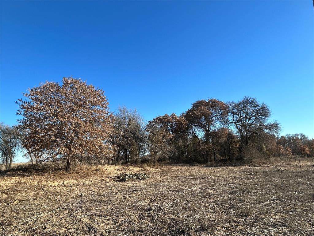 TBD County Road 415 - Photo 1