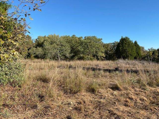 TBD Farm-To-Market 2494 - Photo 1