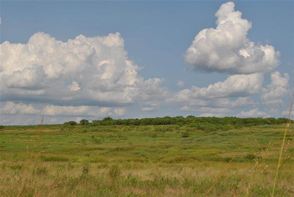 Lot 110 Comanche Lake Road - Photo 1