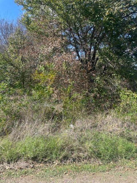 00 Masthead Road - Photo 1