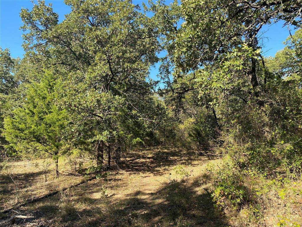 685 Jernigan Road - Photo 1