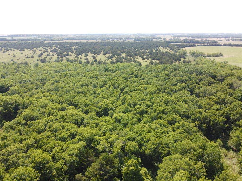 7142 County Road 1048 - Photo 1