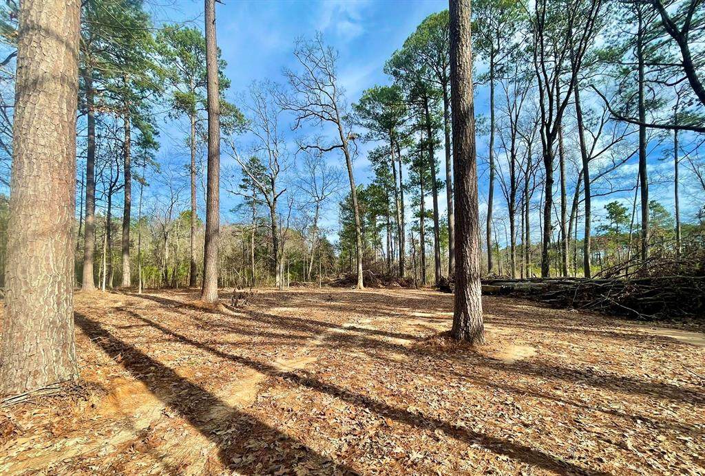 0 Country Living Lot #8 - Photo 1