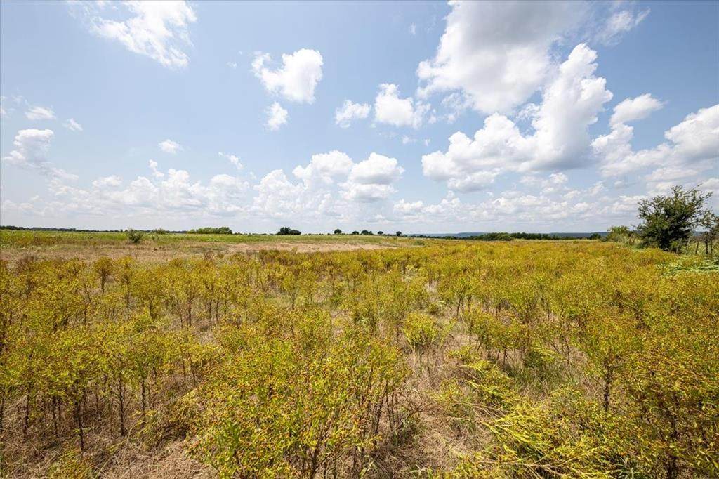 Lot 2 Brazos Mountain Ranch - Photo 1