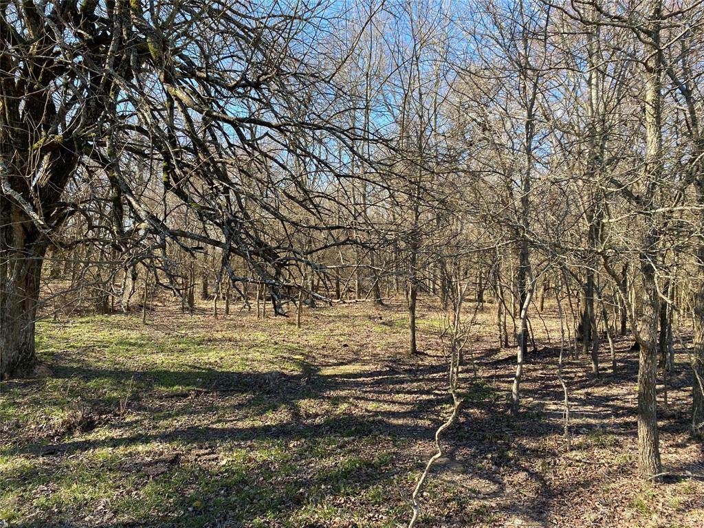 TBD Pr Ridgeway Ranches - Photo 1