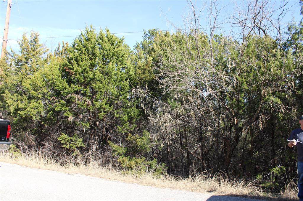 3613 Flint Rock Circle - Photo 1